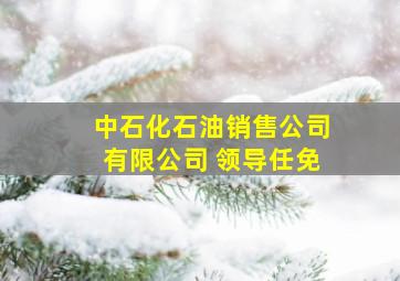 中石化石油销售公司有限公司 领导任免